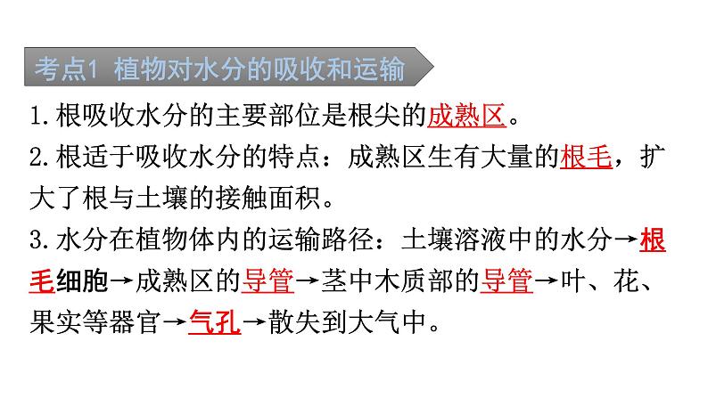 中考生物复习第三单元第三章绿色植物与生物圈的水循环知识点课件第2页