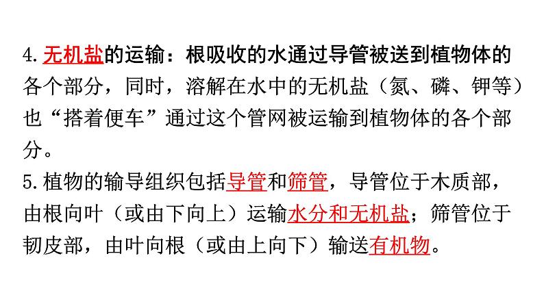 中考生物复习第三单元第三章绿色植物与生物圈的水循环知识点课件第3页