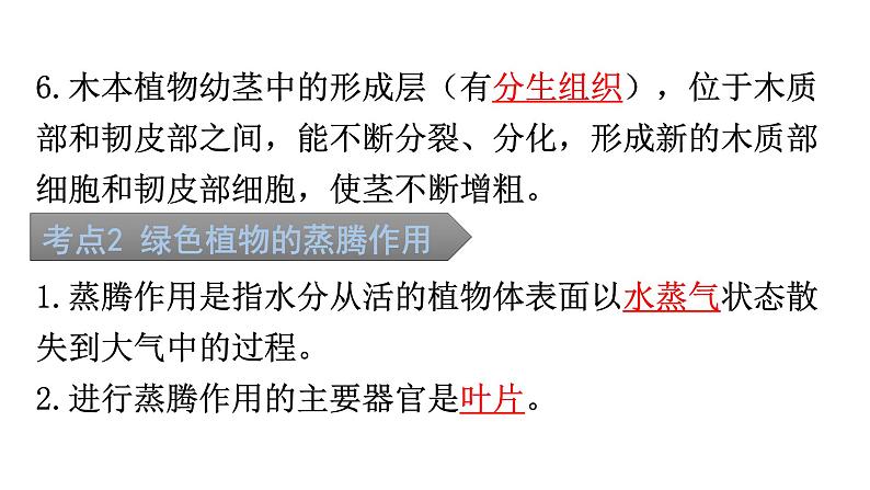 中考生物复习第三单元第三章绿色植物与生物圈的水循环知识点课件第4页