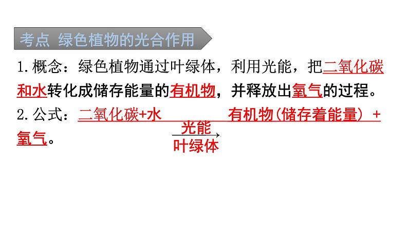 中考生物复习第三单元第四章绿色植物是生物圈中有机物的制造者知识点课件02