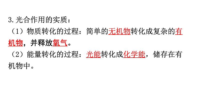 中考生物复习第三单元第四章绿色植物是生物圈中有机物的制造者知识点课件03