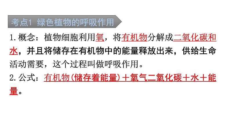 中考生物复习第三单元第五章绿色植物与生物圈中的碳-氧平衡知识点课件02