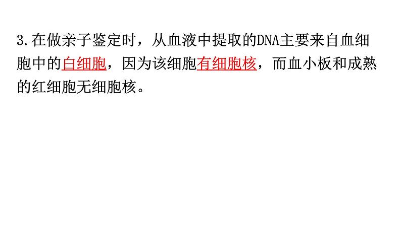 中考生物复习第四单元第四章人体内物质的运输知识点课件第4页