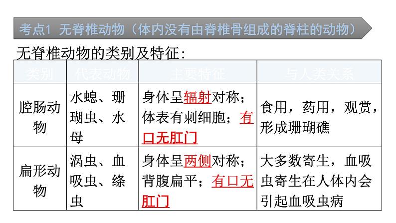 中考生物复习第五单元第一章动物的主要类群知识点课件02