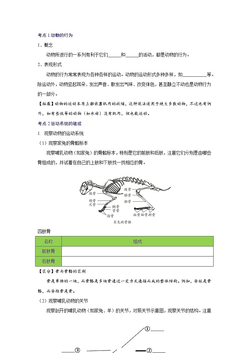 【期中单元知识点归纳】（人教版）2023-2024学年八年级生物上册 第二、三章 动物的运动和行为、动物在生物圈中的作用02