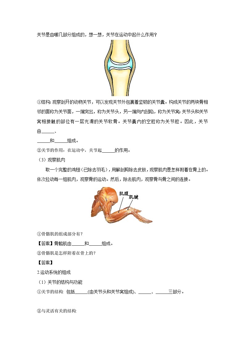 【期中单元知识点归纳】（人教版）2023-2024学年八年级生物上册 第二、三章 动物的运动和行为、动物在生物圈中的作用03