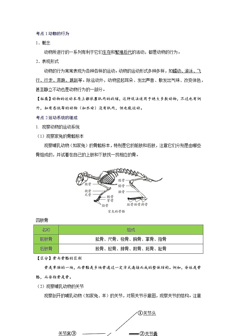 【期中单元知识点归纳】（人教版）2023-2024学年八年级生物上册 第二、三章 动物的运动和行为、动物在生物圈中的作用02