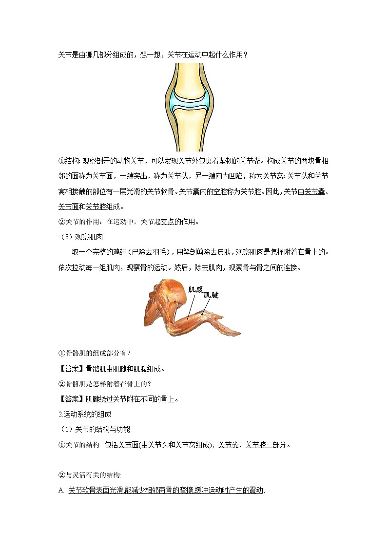 【期中单元知识点归纳】（人教版）2023-2024学年八年级生物上册 第二、三章 动物的运动和行为、动物在生物圈中的作用03