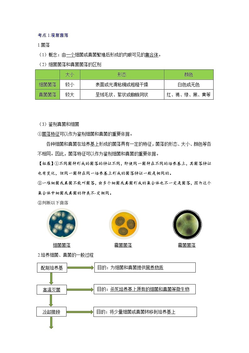 【期中单元知识点归纳】（人教版）2023-2024学年八年级生物上册 第四章 细菌和真菌 讲义02
