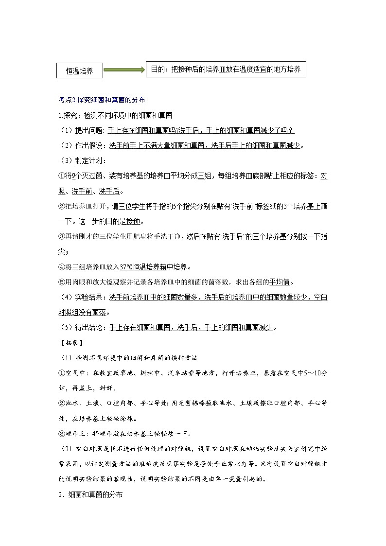 【期中单元知识点归纳】（人教版）2023-2024学年八年级生物上册 第四章 细菌和真菌 讲义03