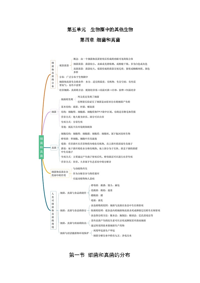 【期中单元知识点归纳】（人教版）2023-2024学年八年级生物上册 第四章 细菌和真菌 讲义01