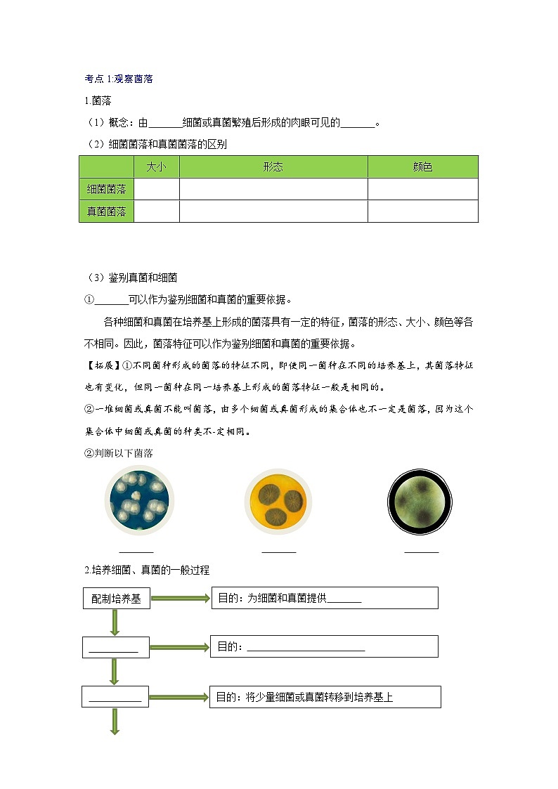 【期中单元知识点归纳】（人教版）2023-2024学年八年级生物上册 第四章 细菌和真菌 讲义02