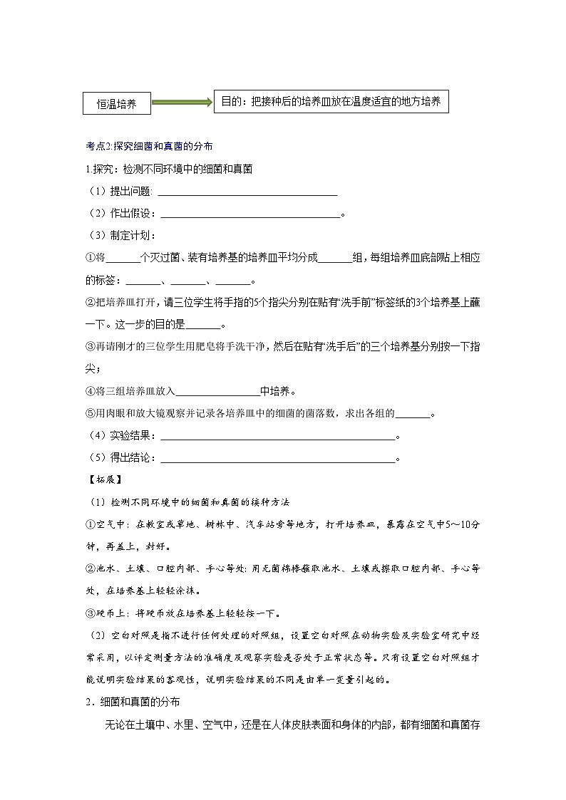 【期中单元知识点归纳】（人教版）2023-2024学年八年级生物上册 第四章 细菌和真菌 讲义03