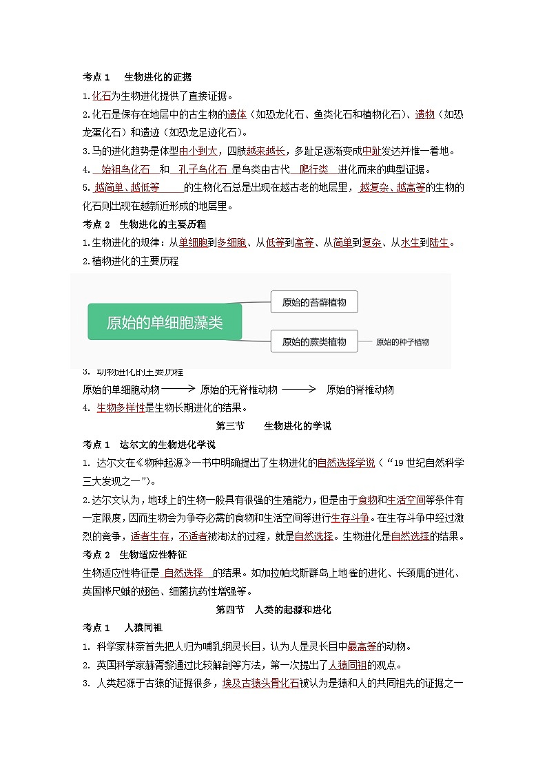 【期中单元知识点归纳】 （苏教版）2023-2024学年八年级生物上册 第十六章 生命起源和生物进化 讲义（解析版）第3页