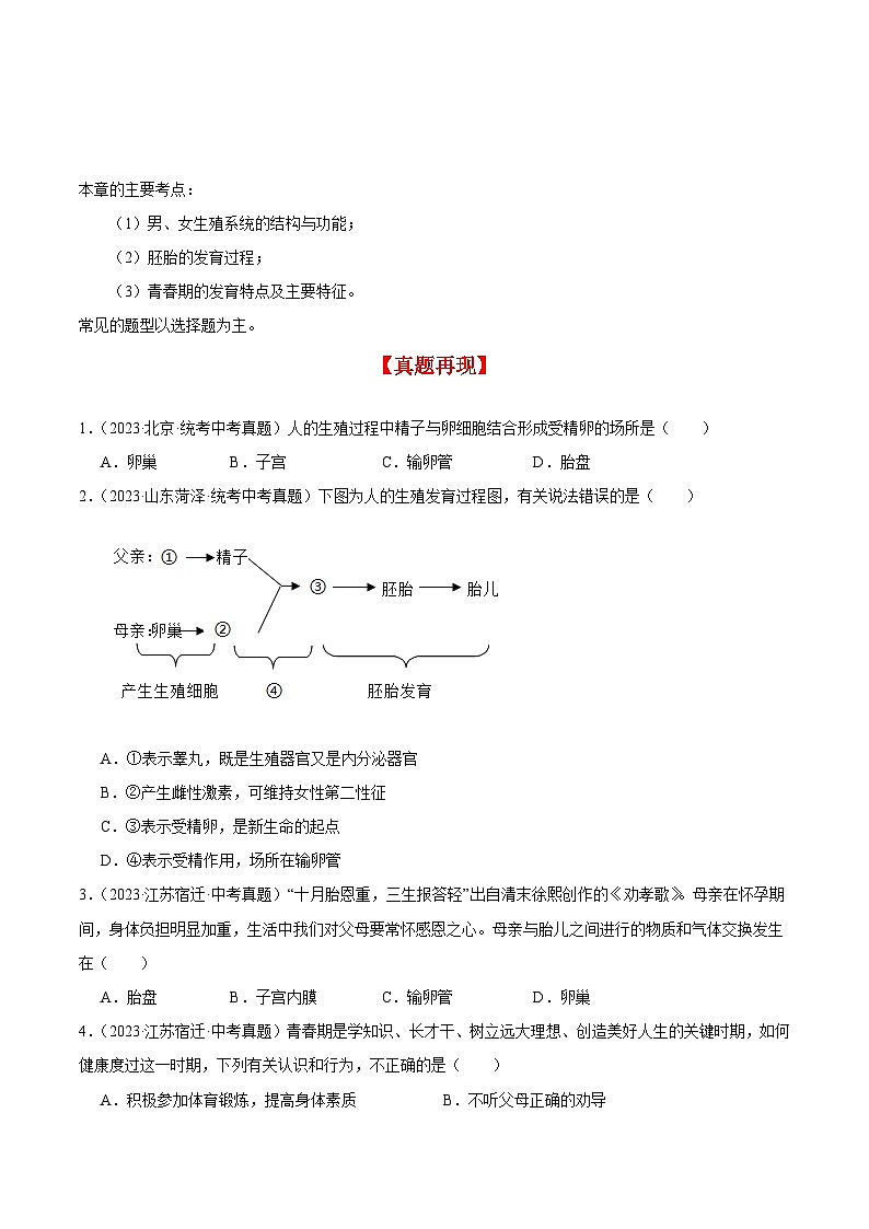 【期中单元知识点归纳】 （苏教版）2023-2024学年八年级生物上册 第二十一章 人的生殖和发育 讲义03