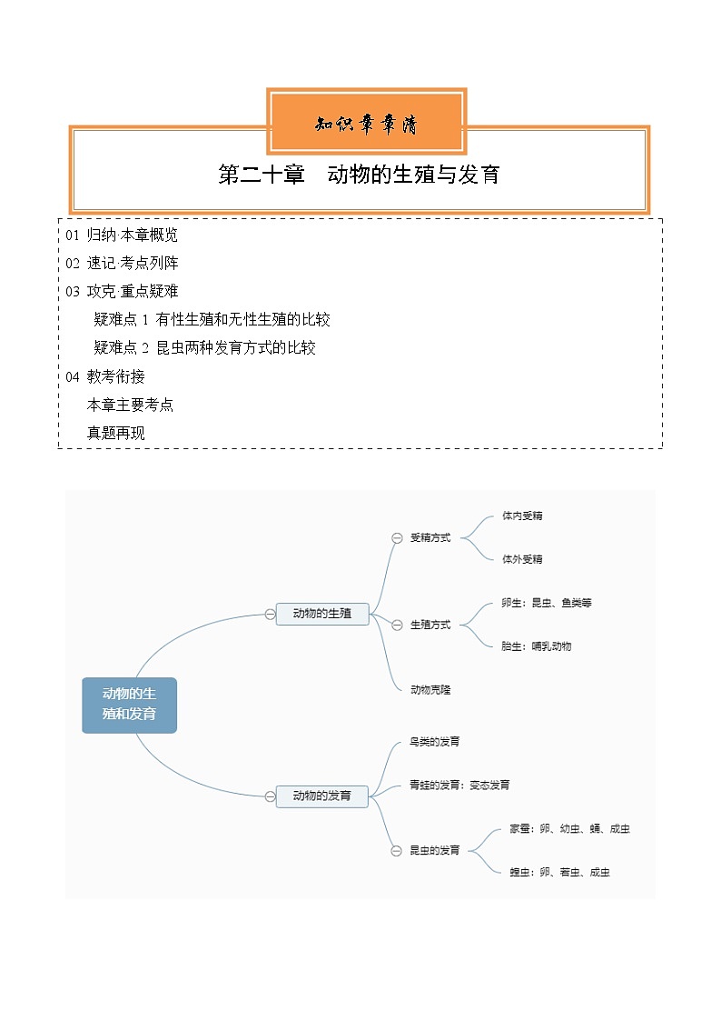 【期中单元知识点归纳】 （苏教版）2023-2024学年八年级生物上册 第二十章 动物的生殖与发育 讲义01