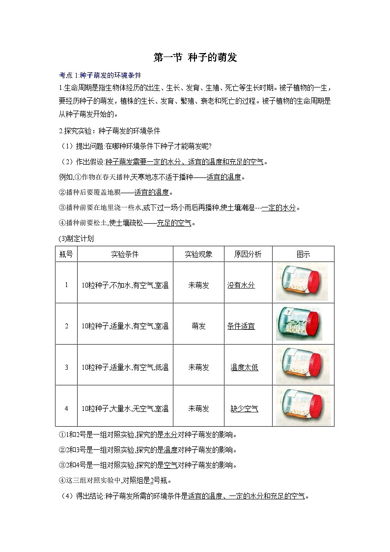【期中单元知识点归纳】 2023-2024学年七年级生物上册 第二章 被子植物一生- 讲义02