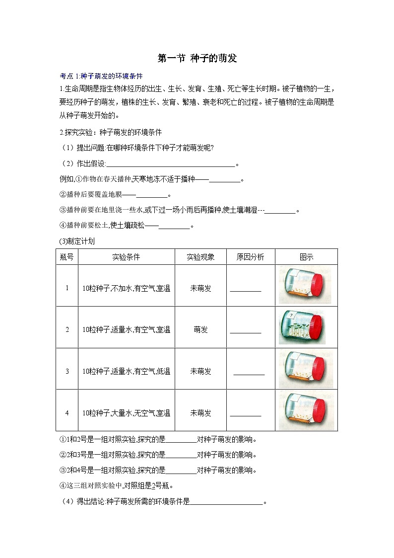 【期中单元知识点归纳】 2023-2024学年七年级生物上册 第二章 被子植物一生- 讲义02