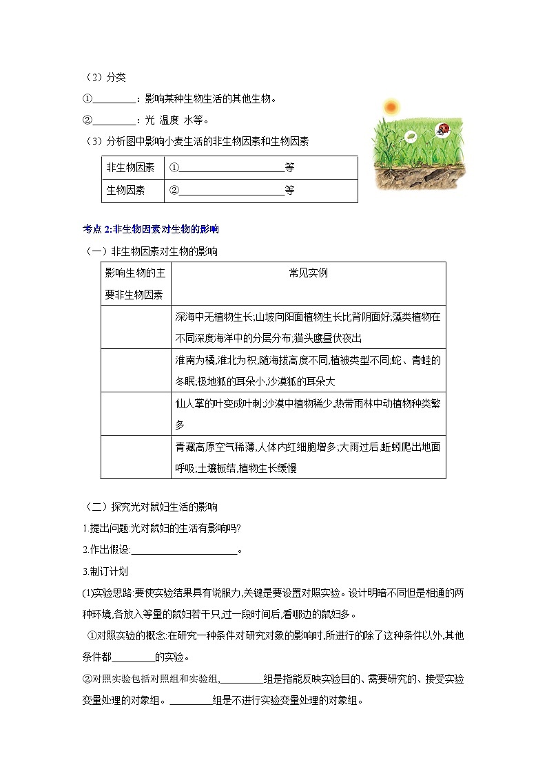 【期中单元知识点归纳】 2023-2024学年七年级生物上册 第二章 了解生物圈  讲义02