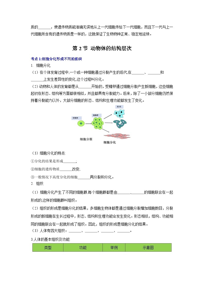 【期中单元知识点归纳】 2023-2024学年七年级生物上册 第二章 细胞怎样构成生物体 讲义03