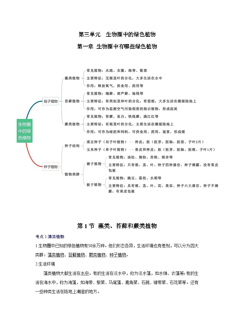 【期中单元知识点】第一章 生物圈中有哪些绿色植物 （解析版）第1页