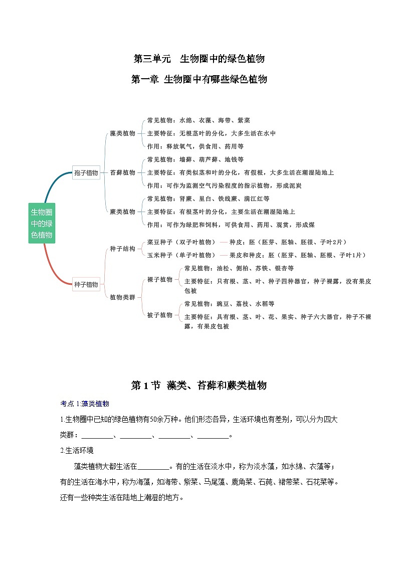 【期中单元知识点】第一章 生物圈中有哪些绿色植物 （原卷版）第1页