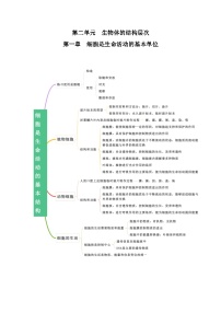 【期中单元知识点归纳】2023-2024学年七年级生物上册 第一章 细胞是生命活动的基本单位 讲义