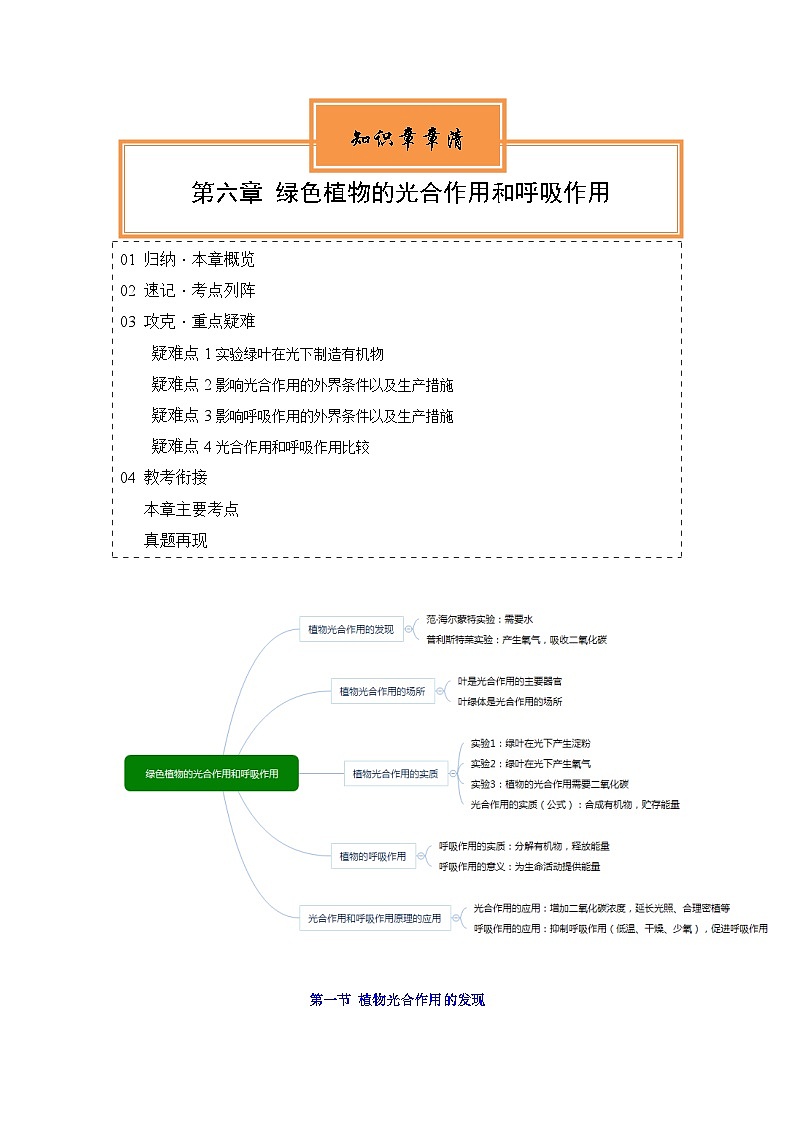 【期中单元知识点归纳】（苏教版）2023-2024学年七年级生物上册 第六章 绿色植物的光合作用和呼吸作用 讲义01
