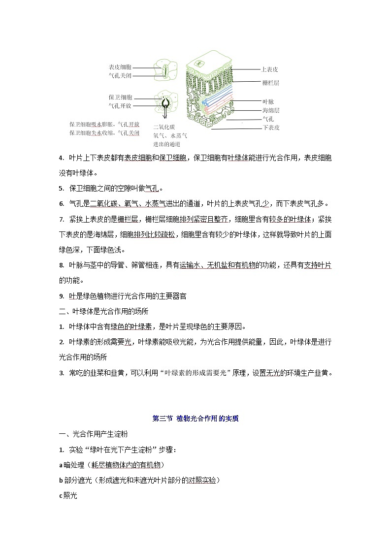 【期中单元知识点归纳】（苏教版）2023-2024学年七年级生物上册 第六章 绿色植物的光合作用和呼吸作用 讲义03