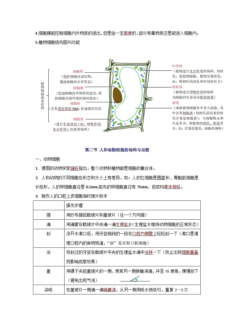 【期中单元知识点归纳】（苏教版）2023-2024学年七年级生物上册 第三章 细胞是生命活动的基本单位 讲义（解析版）第3页