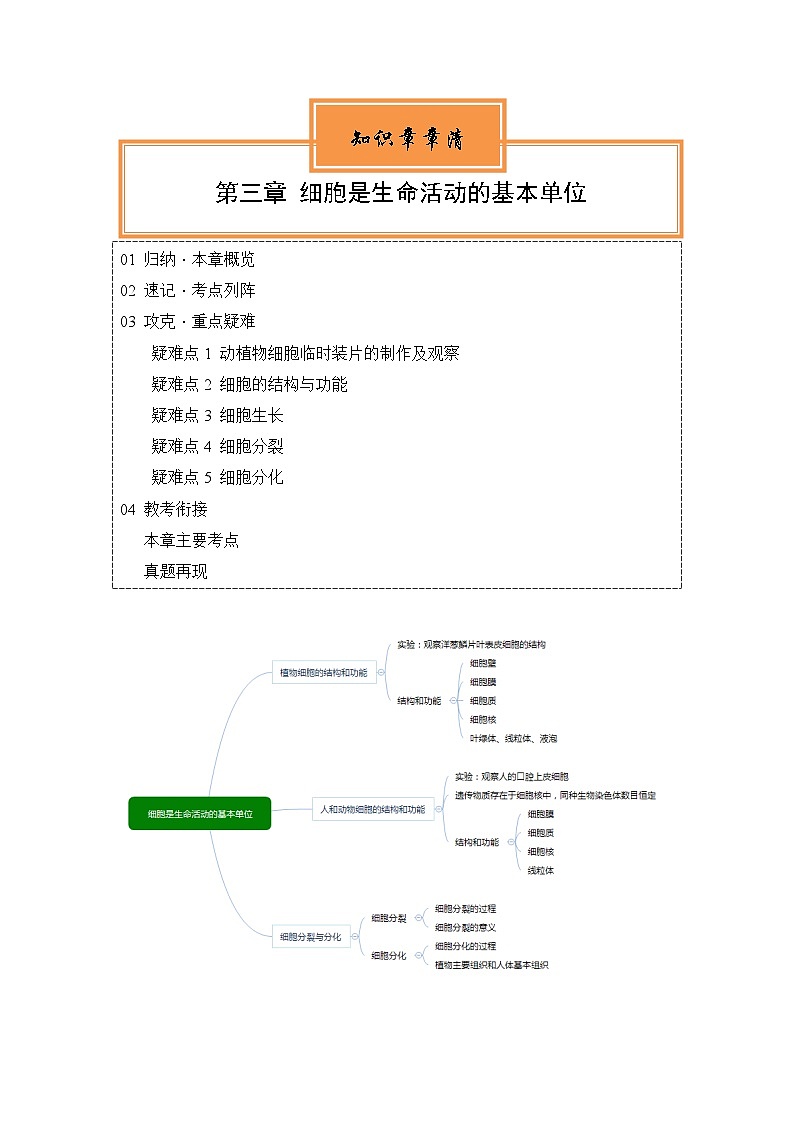 【期中单元知识点归纳】（苏教版）2023-2024学年七年级生物上册 第三章 细胞是生命活动的基本单位 讲义（原卷版）第1页