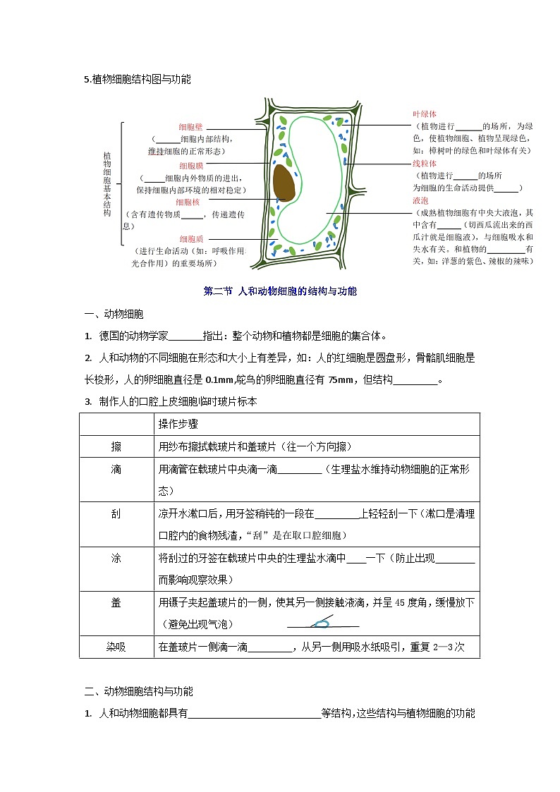 【期中单元知识点归纳】（苏教版）2023-2024学年七年级生物上册 第三章 细胞是生命活动的基本单位 讲义（原卷版）第3页