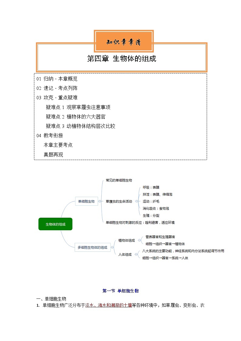 【期中单元知识点归纳】（苏教版）2023-2024学年七年级生物上册 第四章 生物体的组成 讲义（解析版）第1页