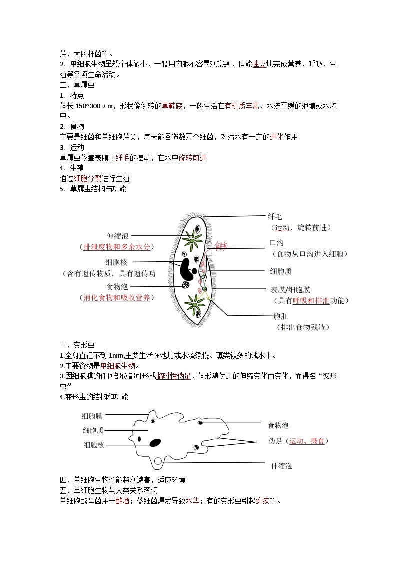 【期中单元知识点归纳】（苏教版）2023-2024学年七年级生物上册 第四章 生物体的组成 讲义（解析版）第2页