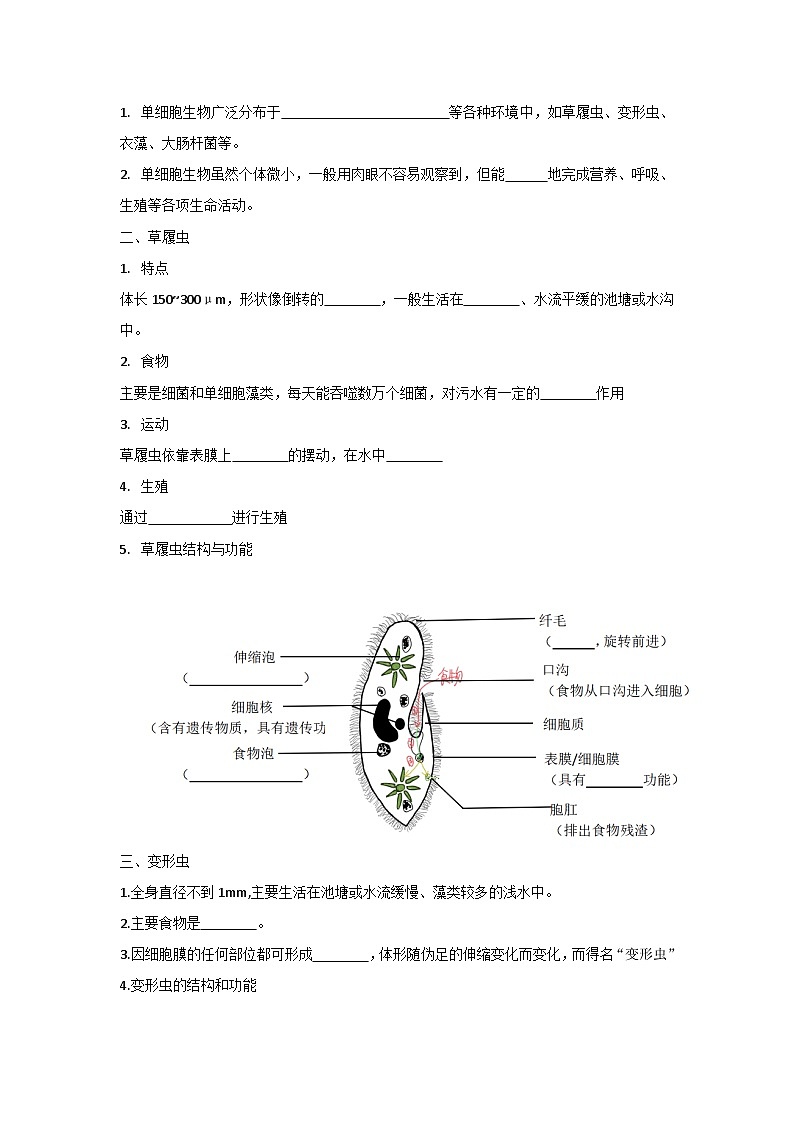【期中单元知识点归纳】（苏教版）2023-2024学年七年级生物上册 第四章 生物体的组成 讲义（原卷版）第2页