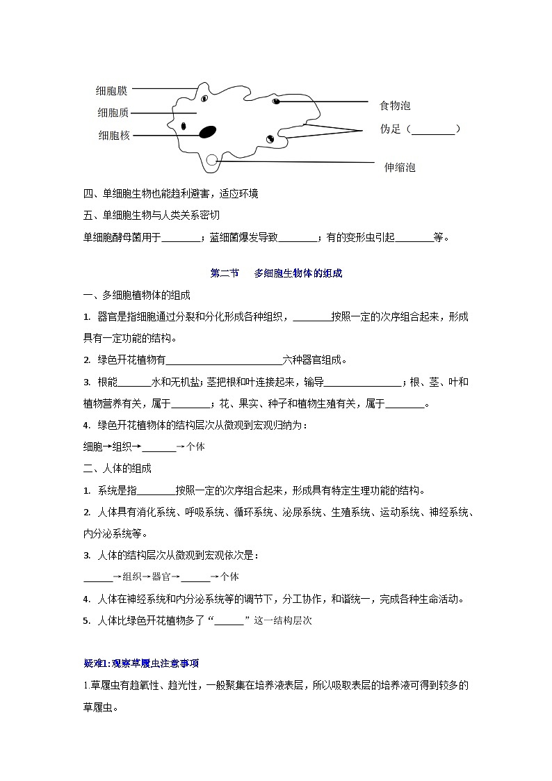 【期中单元知识点归纳】（苏教版）2023-2024学年七年级生物上册 第四章 生物体的组成 讲义（原卷版）第3页