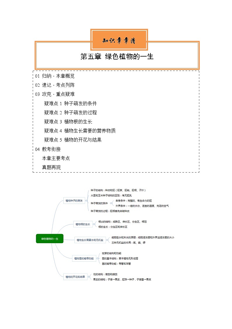 【期中单元知识点归纳】（苏教版）2023-2024学年七年级生物上册 第五章 绿色植物的一生 讲义（解析版）第1页