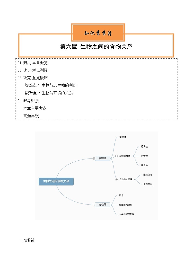 【期中单元知识点归纳】（苏科版）2023-2024学年七年级生物上册 第六章 生物之间的食物关系 讲义01