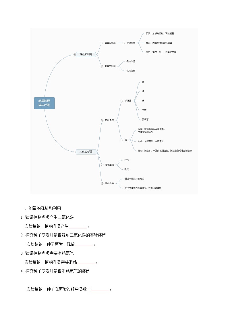 【期中单元知识点归纳】（苏科版）2023-2024学年七年级生物上册 第七章 能量的释放和吸收 讲义02