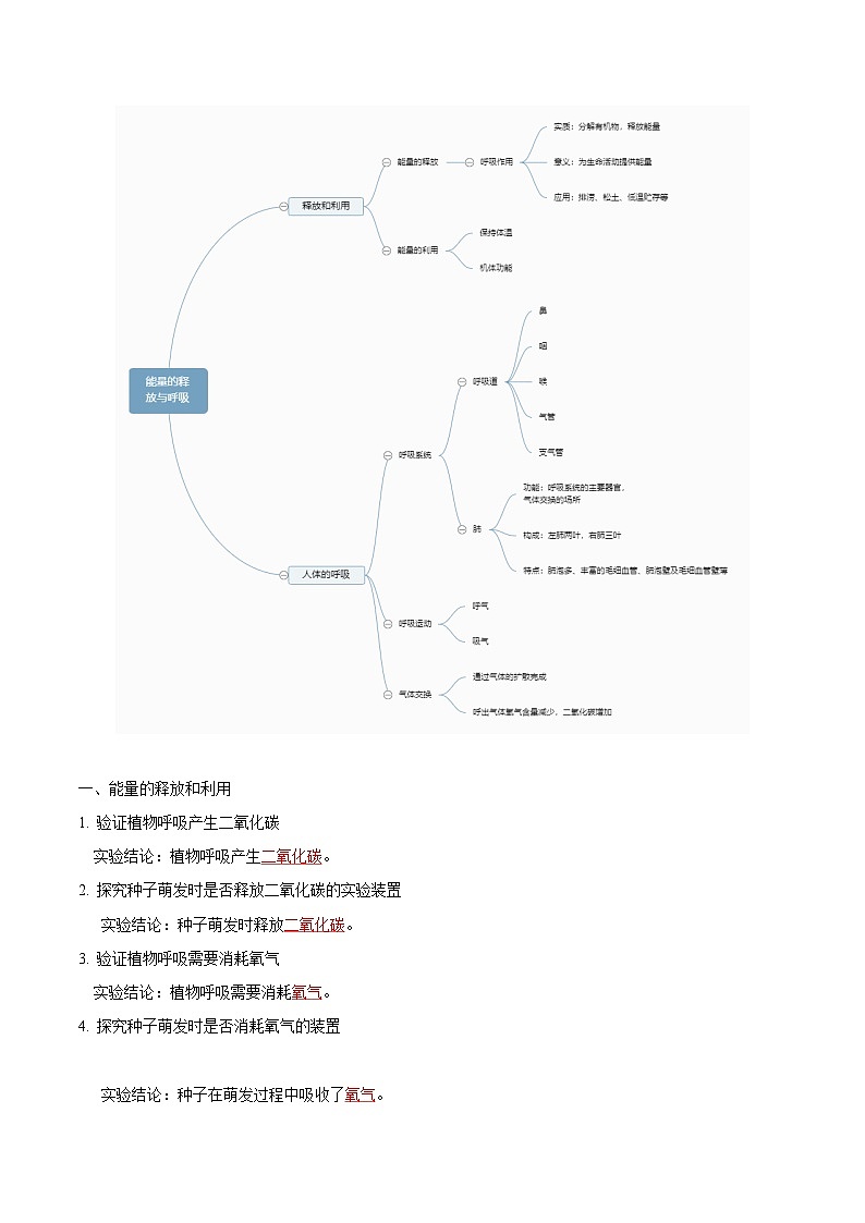 【期中单元知识点归纳】（苏科版）2023-2024学年七年级生物上册 第七章 能量的释放和吸收 讲义02