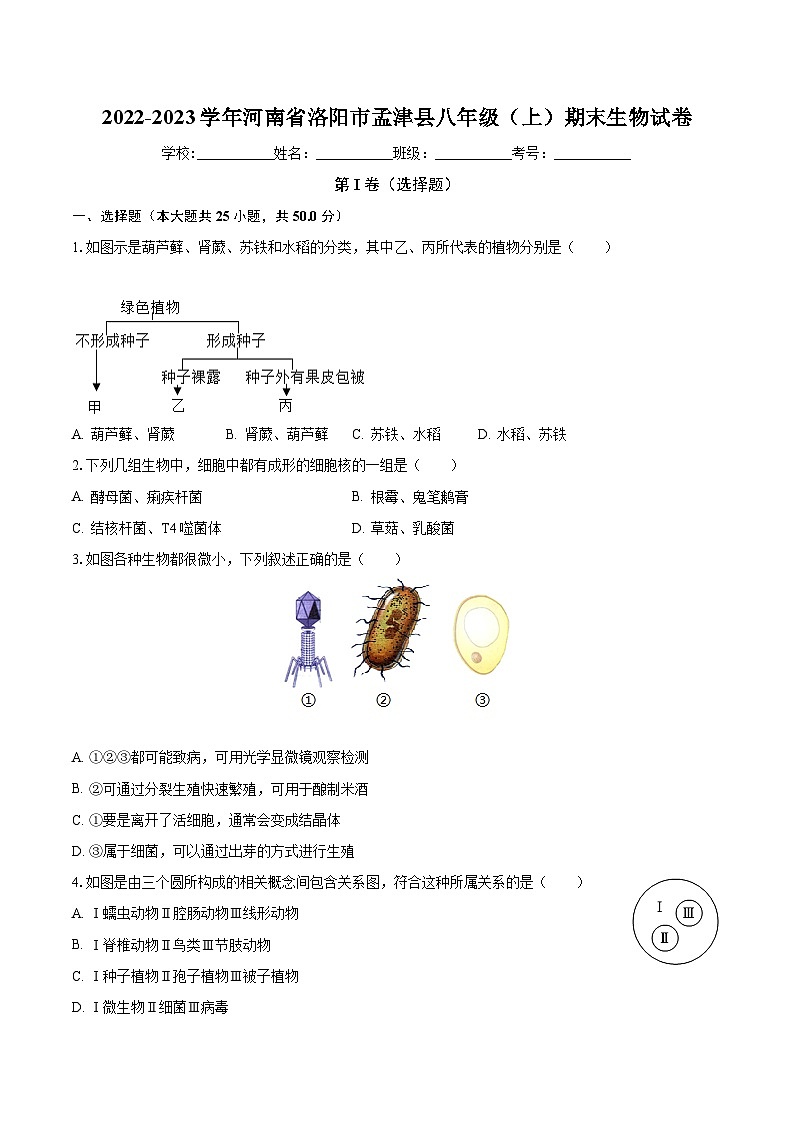河南省洛阳市孟津县2022-2023学年八年级上学期期末生物试卷+第1页