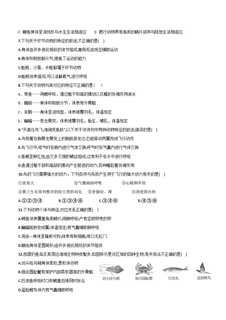 山东省青岛市市南区琴岛学校2022-2023学年八年级上学期10月生物月考试题第2页