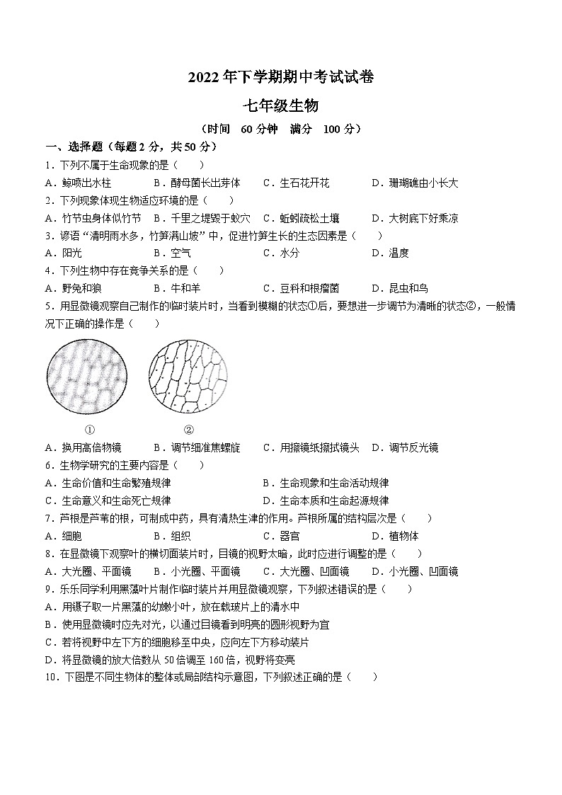 湖南省常德市澧县2022-2023学年七年级上学期期中生物试题第1页