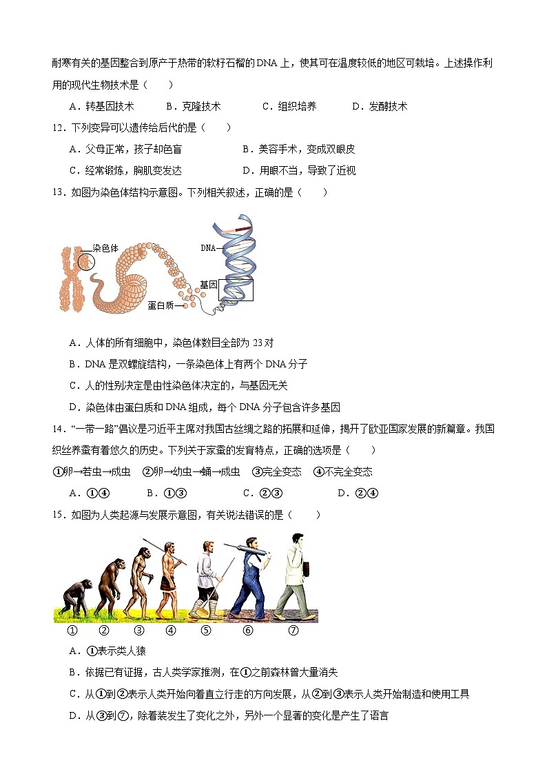 重庆市江津第二中学校2022--2023学年八年级下学期期中生物试卷03
