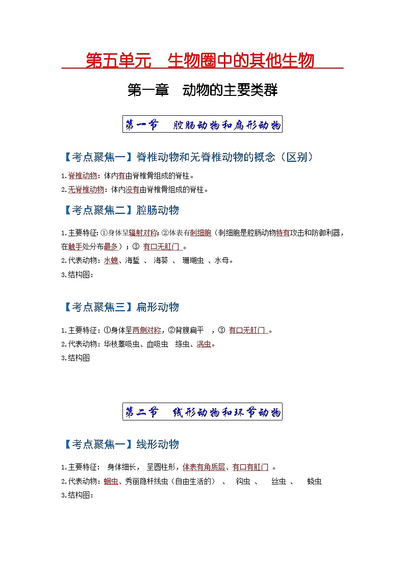考点01  动物的主要类群（无脊椎动物） 中考生物 知识点复习（人教版）01