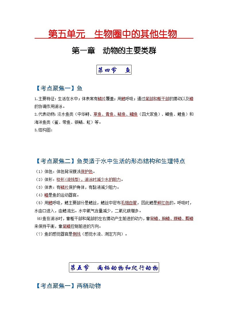 考点02  动物的主要类群（脊椎动物） 中考生物 知识点复习（人教版）01