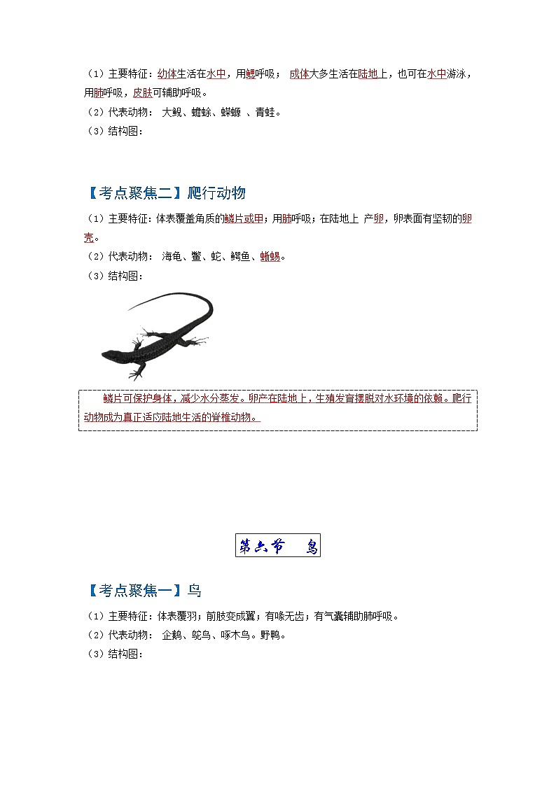 考点02  动物的主要类群（脊椎动物） 中考生物 知识点复习（人教版）02