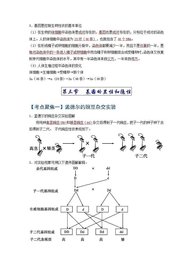 考点02  生物的遗传与变异 中考生物 知识点复习（人教版）第3页