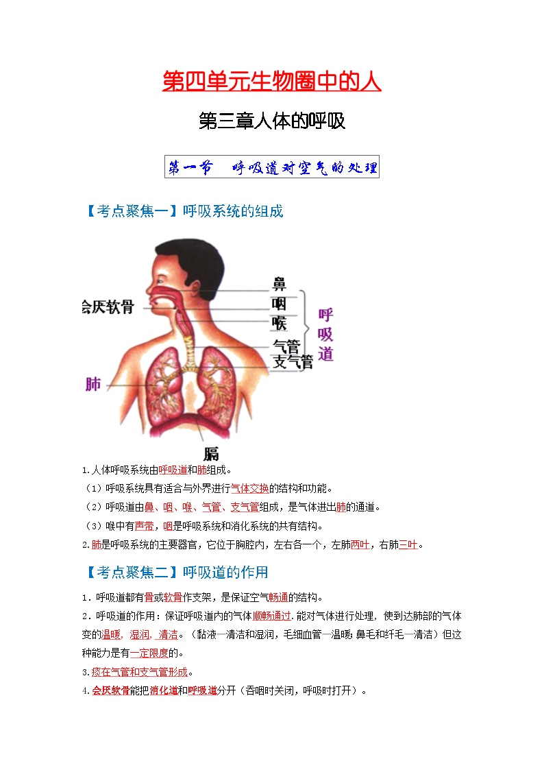 人体的呼吸知识点图片