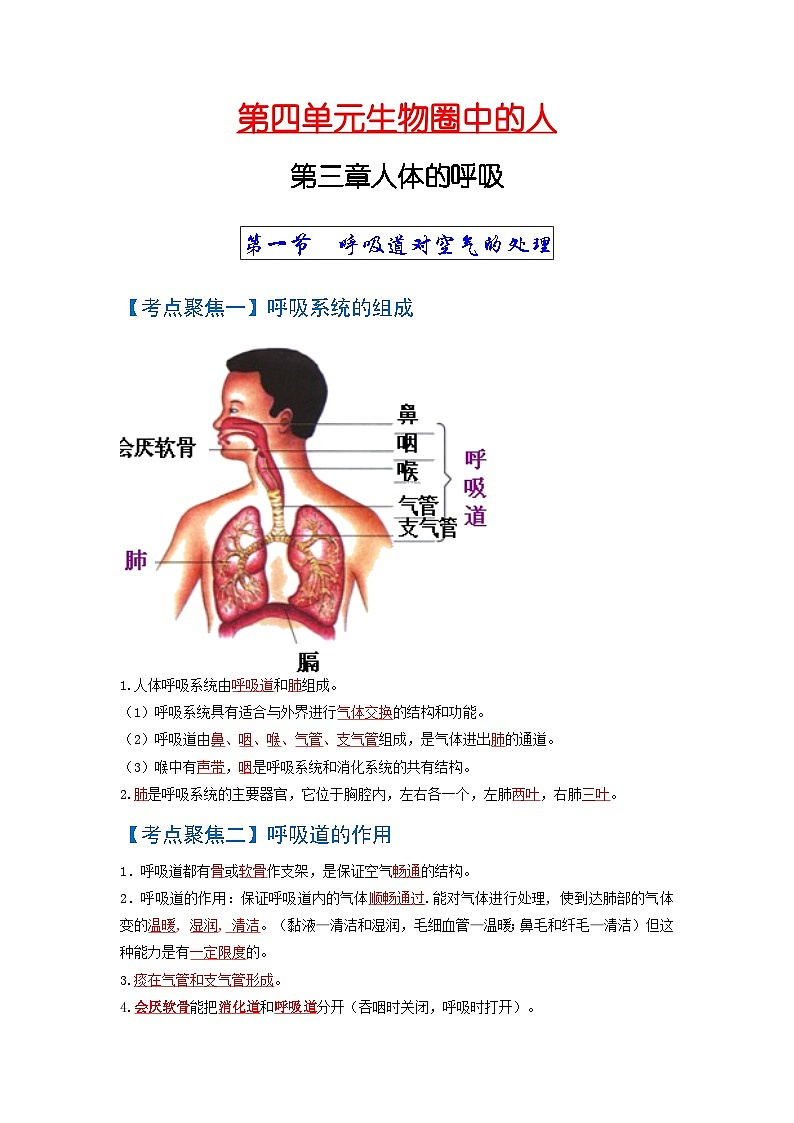 考点03  人体的呼吸 中考生物 知识点复习（人教版）第1页